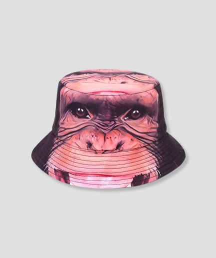 Aap-buckethat.png