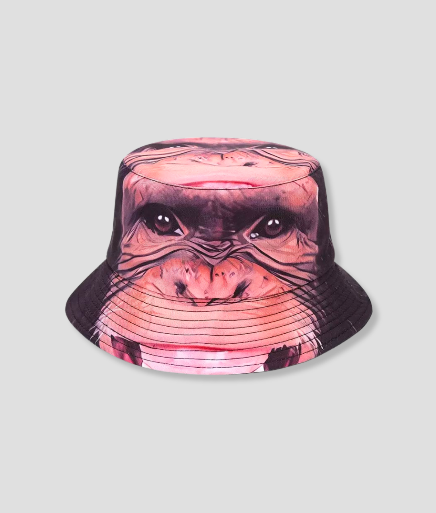 Aap-buckethat.png