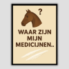 Paard-aan-de-ket-poster-A3.png
