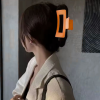 clip-haar-oranje.png