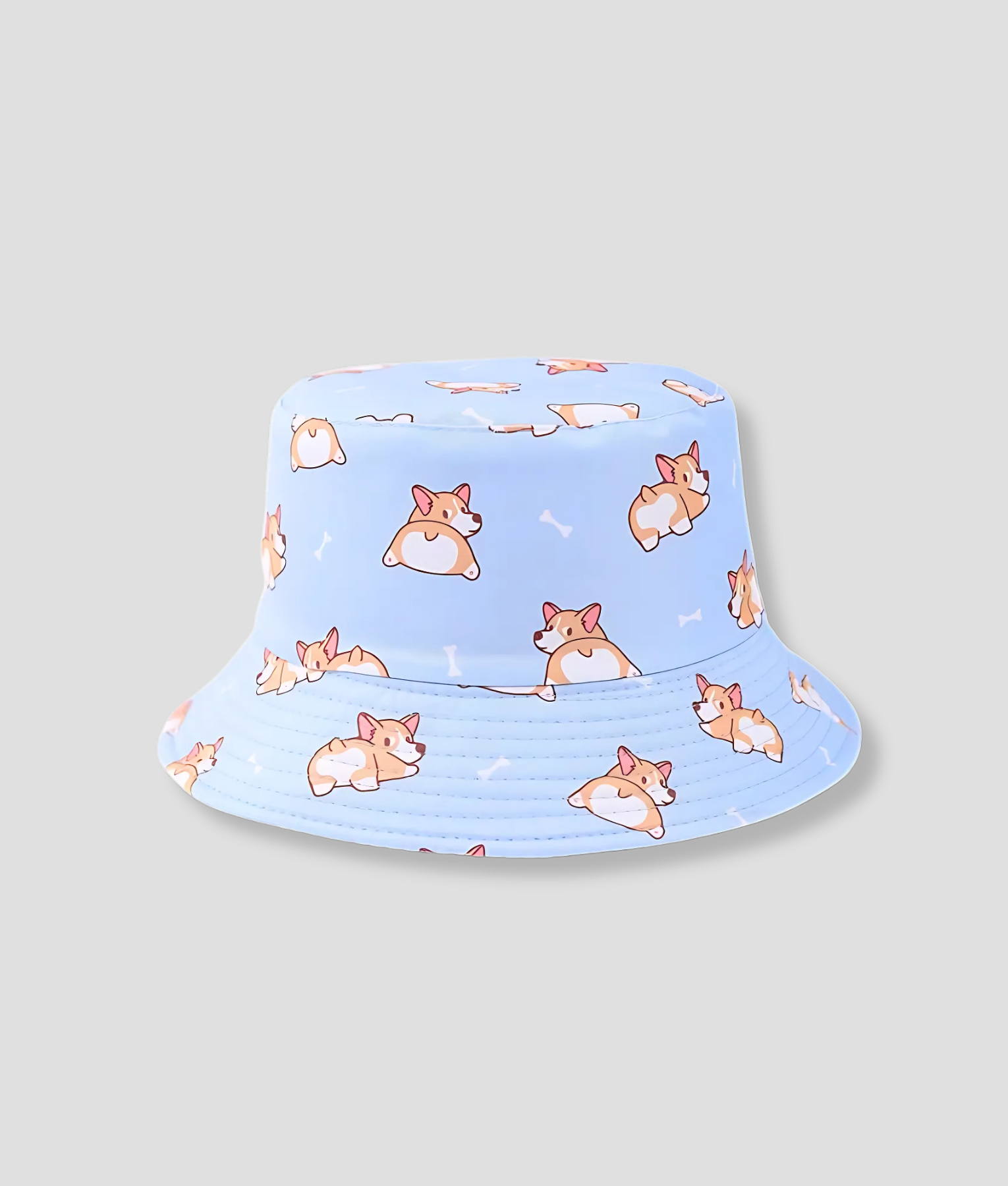 doggy-hoedje-pastel-blauw.png
