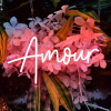 Amour neon