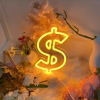 cash neon lamp