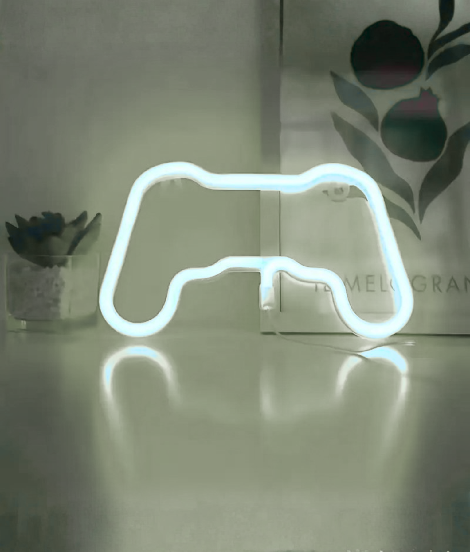 controller gamen neon