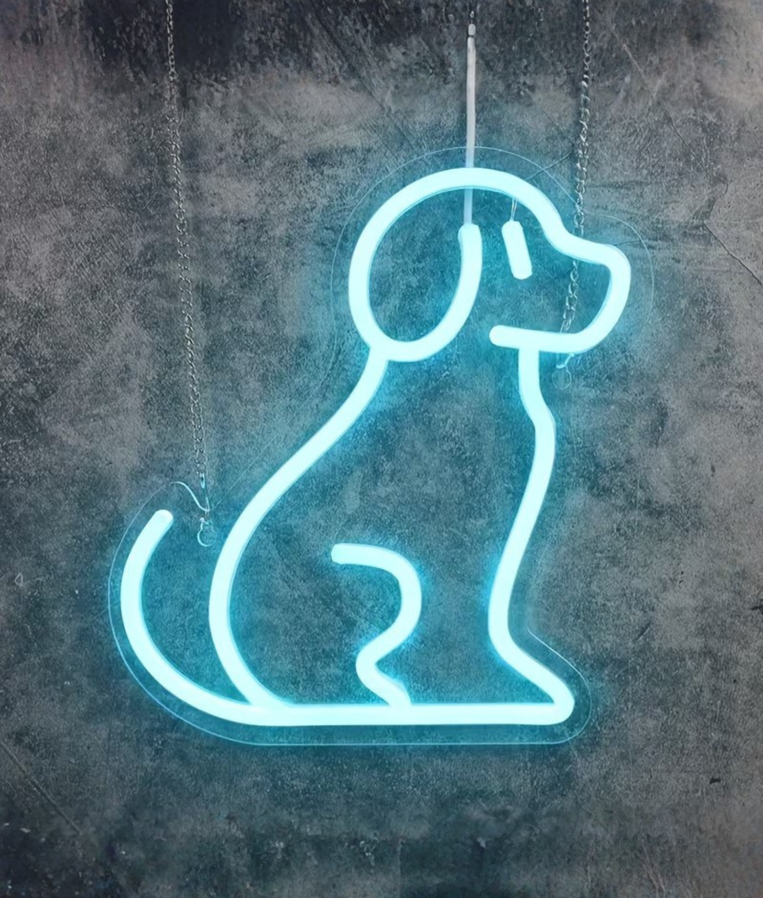 led lamp hondje neon