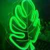 neon groen plant