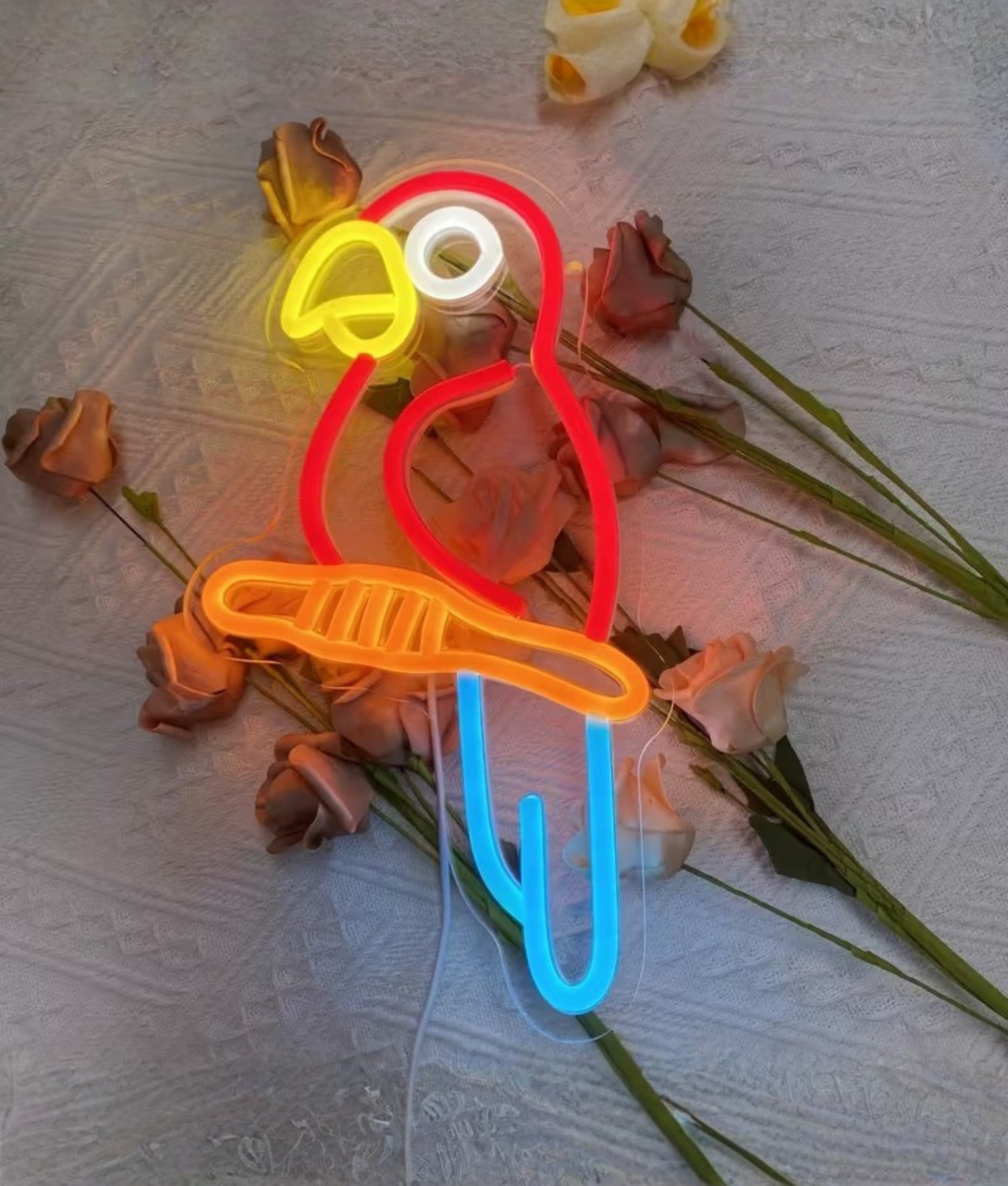 papegaai neon kleuren