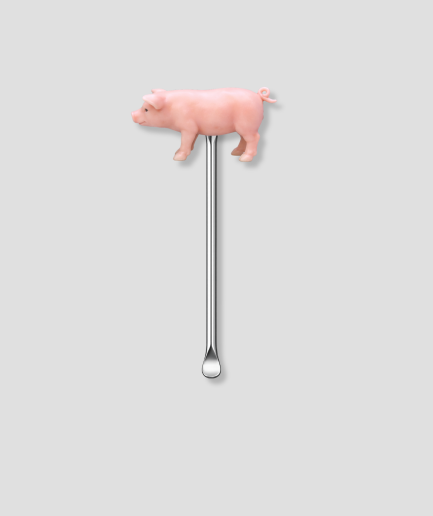 Bacon