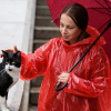 rode regen poncho