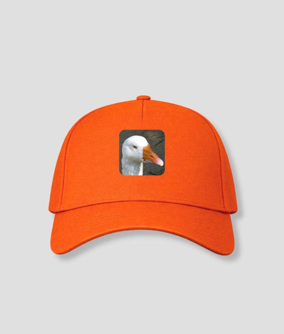 oranje koningsdag pet met foto